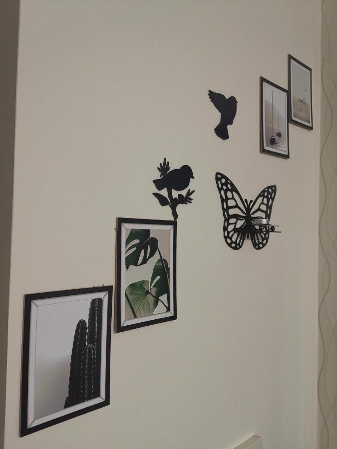 My G Yoo Apartment #1 이스탄불 외부 사진
